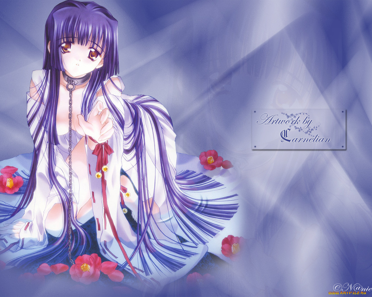 , moonlight, lady